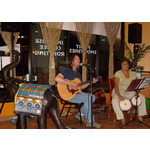 Live Local Tampa Performers